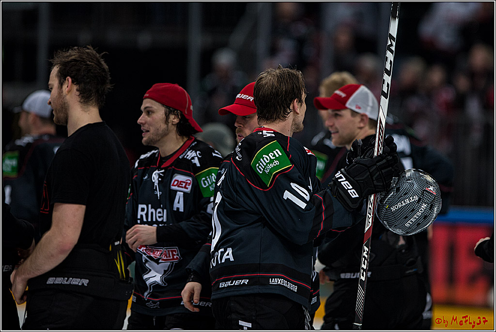 DEL, Koelner Haie - Augsburger Panther, 13.01.2017